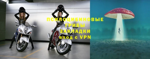 стафф Волоколамск