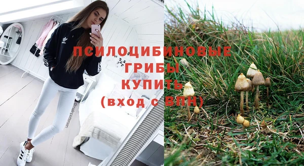 стафф Волоколамск