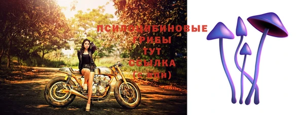 стафф Волоколамск