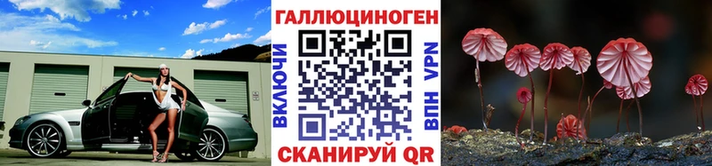 как найти   Переславль-Залесский  Галлюциногенные грибы GOLDEN TEACHER 